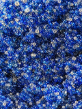 Premium Aquatics blue color-indicating mixed-bed DI resin refill in 1.25-pound package